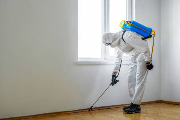 Best Pest Exclusion Services  in Groveville, NJ